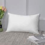 Down Feather Pillow