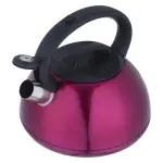 Kaisa Villa Stainless Steel Whistling Kettle 3L 