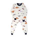 Boys Roundneck Long Sleeves Sweatshirt and Long Pants