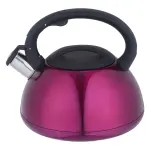 Kaisa Villa Stainless Steel Whistling Kettle 3L 