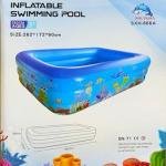 Inflatable Swimming Pool