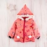 Winter Hooded Jacket 