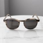 نظارة شمسية بإطار Panto كلاسيكي بلون بني سموكي