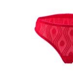 Lace Lingerie Set with Patterned Mesh, Underwired Bra, Satin Bow