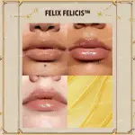 شيجلام ماجيك إلكسير ليب جلوس – فليكس فيليسيس