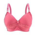 Lace Trim Bra with Padding, Underwire, Adjustable Straps, Bow