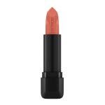 Catrice Scandalous Matte Lipstick 110