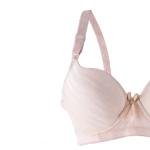 Striped Padded Bra and Panty Set with Underwire, Bow, Elegance.