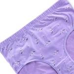 Women’s Floral Print High-Waist Cotton Briefs – 3-Pack