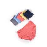 Women's Cotton Brief Panties – 6-Pack Seamless Comfort Underwear