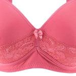 Lace Trim Bra with Padding, Underwire, Adjustable Straps, Bow
