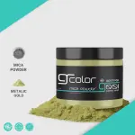 Graffiti Color Mica Powder 20g
