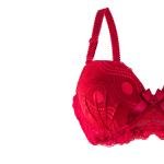 Lace Lingerie Set with Patterned Mesh, Underwired Bra, Satin Bow