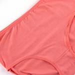 Women's Cotton Brief Panties – 6-Pack Seamless Comfort Underwear